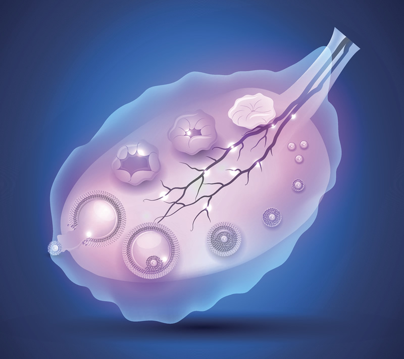 上海正规私立试管医院整理-上海有几家做试管的院！
